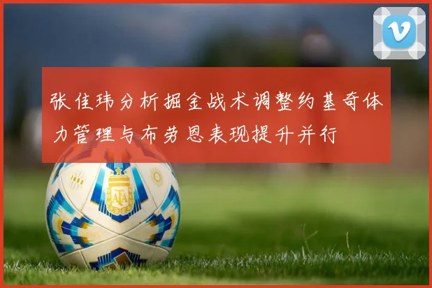 张佳玮分析掘金战术调整约基奇体力管理与布劳恩表现提升并行